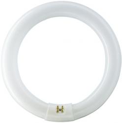 Runde Energiesparlampen