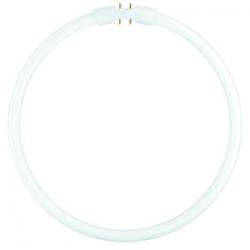 Runde und U-Förmige Leuchtstofflampen