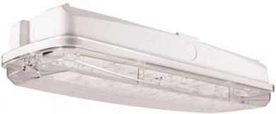 Dotlux LED-Rettungsleuchte EXIT 3,8W 6000K inkl. 4 Piktogrammen 3h Betrieb,(Dauerbetrieb ode 