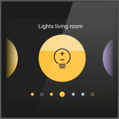 Niko  NIKO Hue - CONN CONTROL SCREEN NHC 