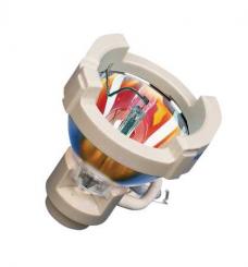 Osram Speziallampe HXP R120W/45C VIS, NEAD: 69119 