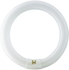 Philips Leuchtstofflampe TL-E 40W/840 / EEK: G 