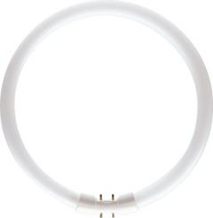 Philips Leuchtstofflampe MASTER TL5 CIRCULAR 22W/830 / EEK: G 