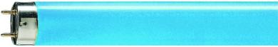 Philips Leuchtstofflampe TL-D Colored 18W Blue 
