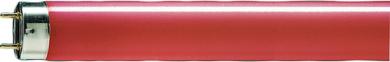 Philips Leuchtstofflampe TL-D Colored 36W Red / EEK: E 