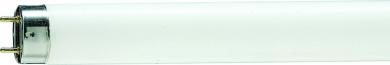 Philips Leuchtstofflampe MASTER TL-D 90 De Luxe 36W/965 / EEK: G 