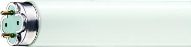 Philips Leuchtstofflampe MASTER TL-D Xtreme 36W/865 / EEK: G 