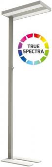 Dotlux LED-Stehleuchte ASSISTsunlike 60W CRI95 5500K dimmbar 