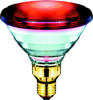 Philips Infrarot-Lampe PAR38 IR 150W E27 230V Red 